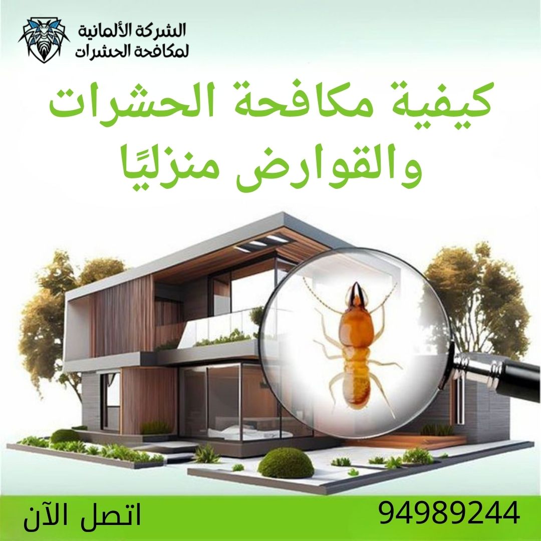 كيفية مكافحة الحشرات والقوارض منزليًا