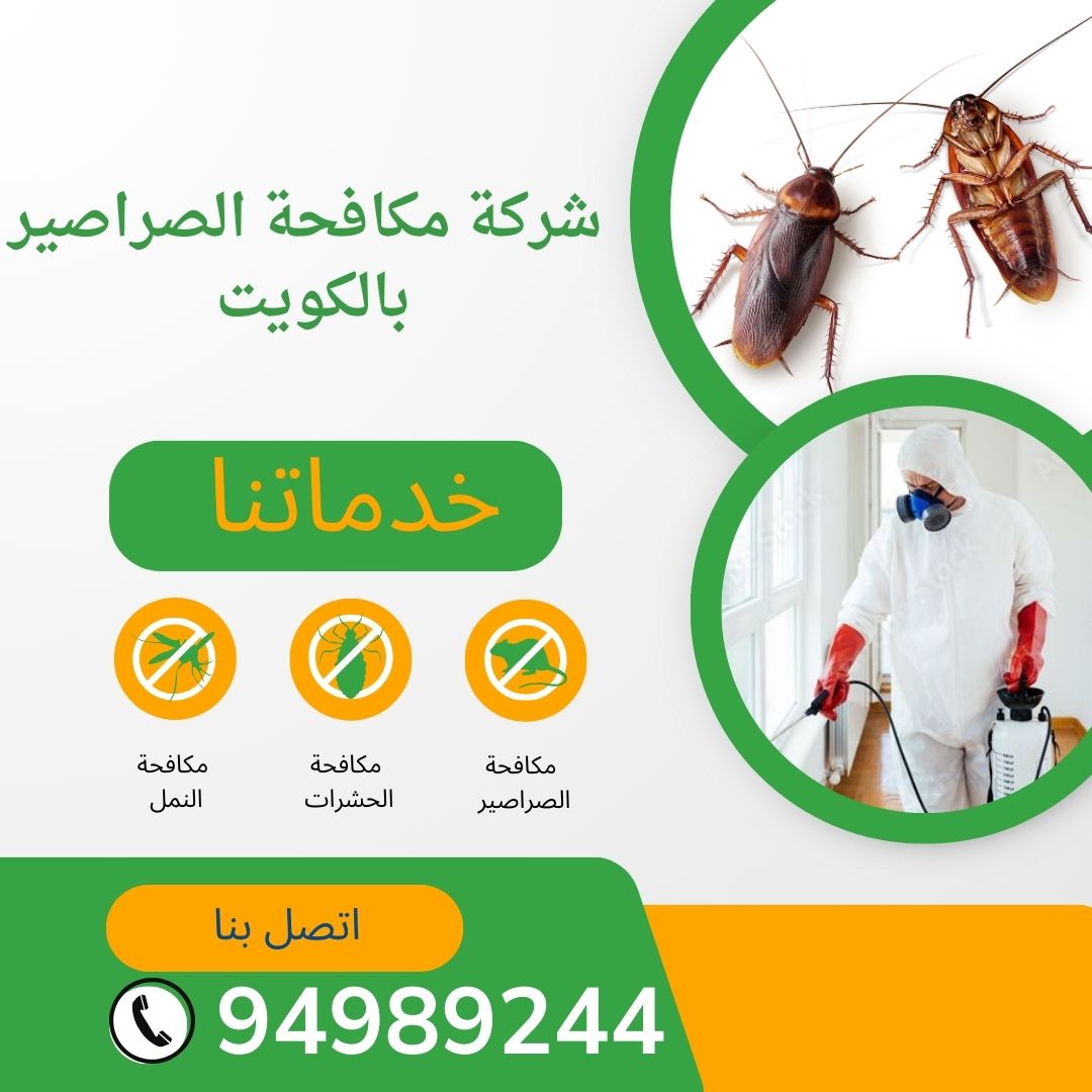 شركة مكافحة الصراصير بالكويت