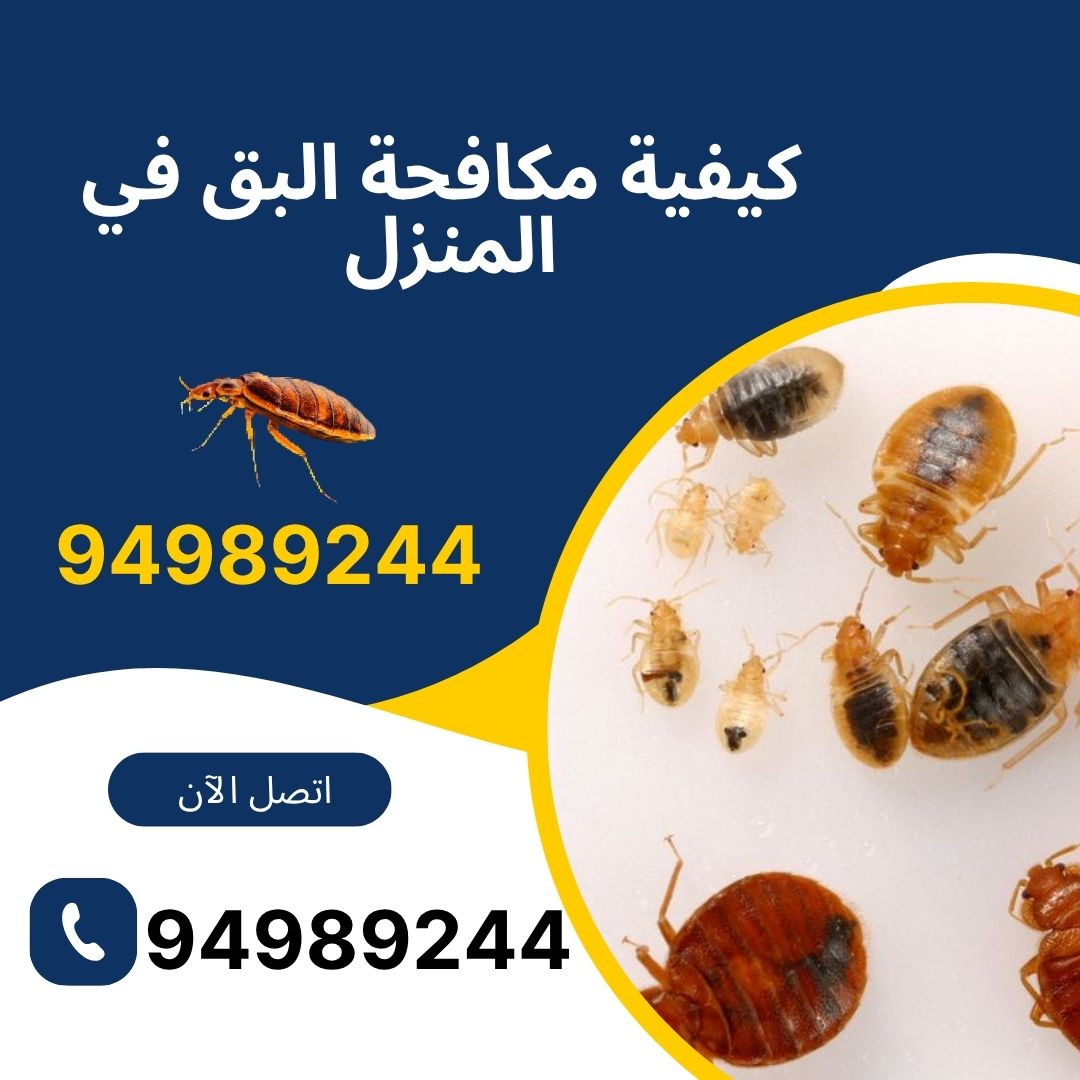 كيفية مكافحة البق في المنزل