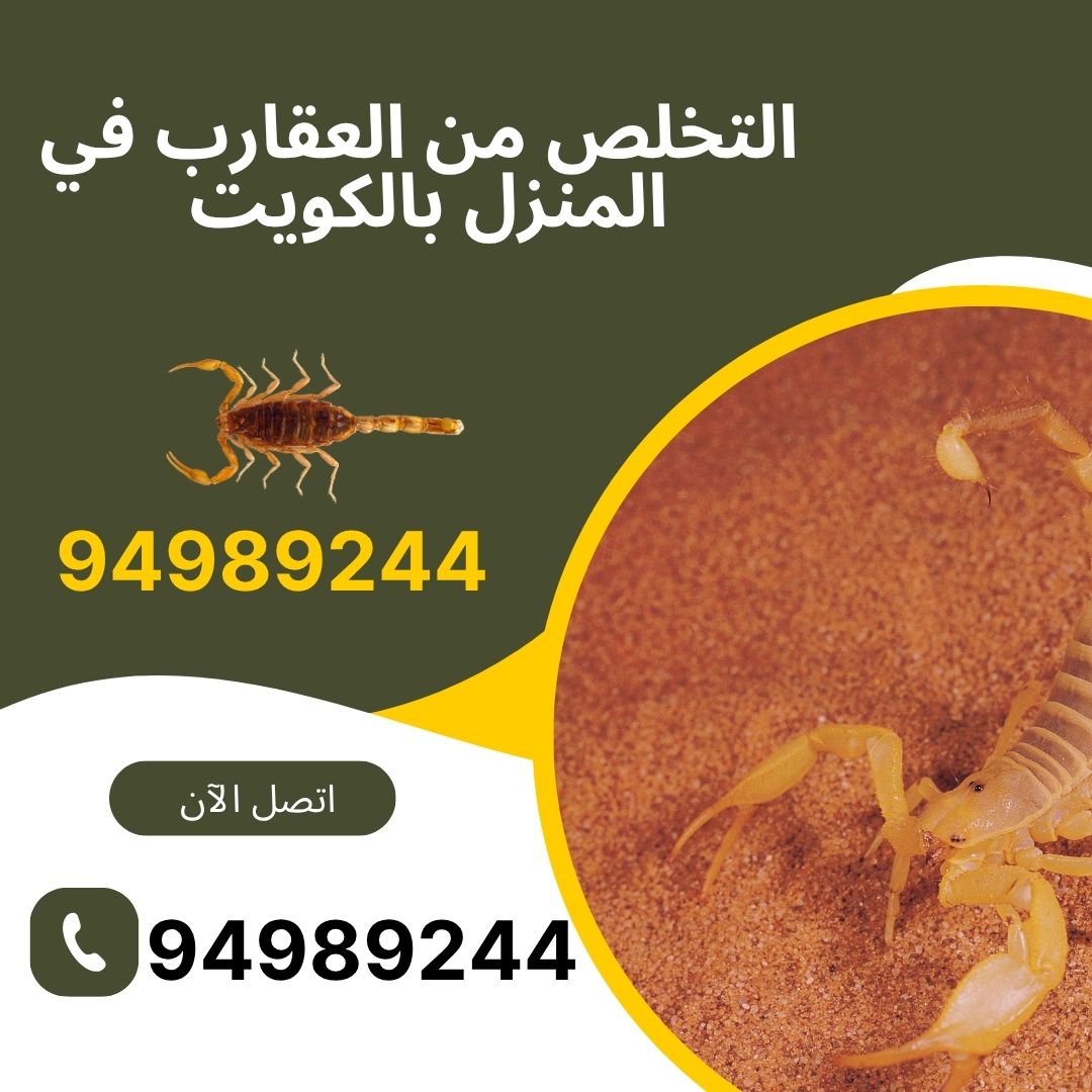 التخلص من العقارب في المنزل بالكويت