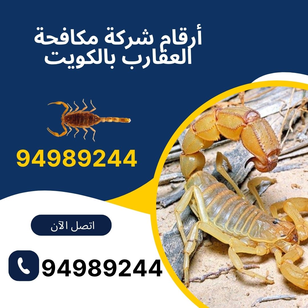 أرقام شركة مكافحة العقارب بالكويت
