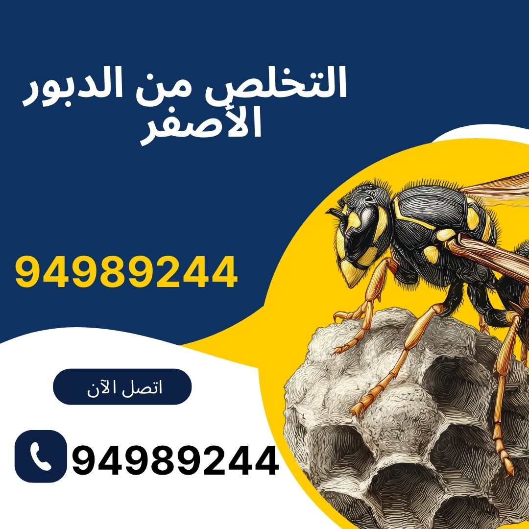 التخلص من الدبور الأصفر