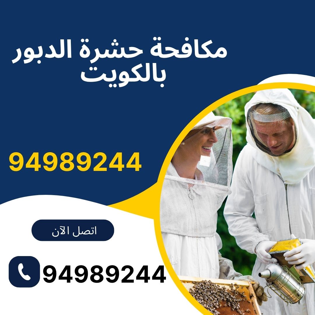 مكافحة حشرة الدبور بالكويت