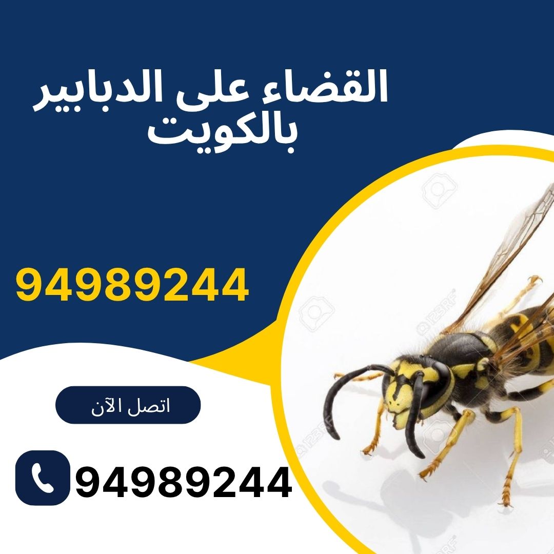 القضاء على الدبابير الكويت