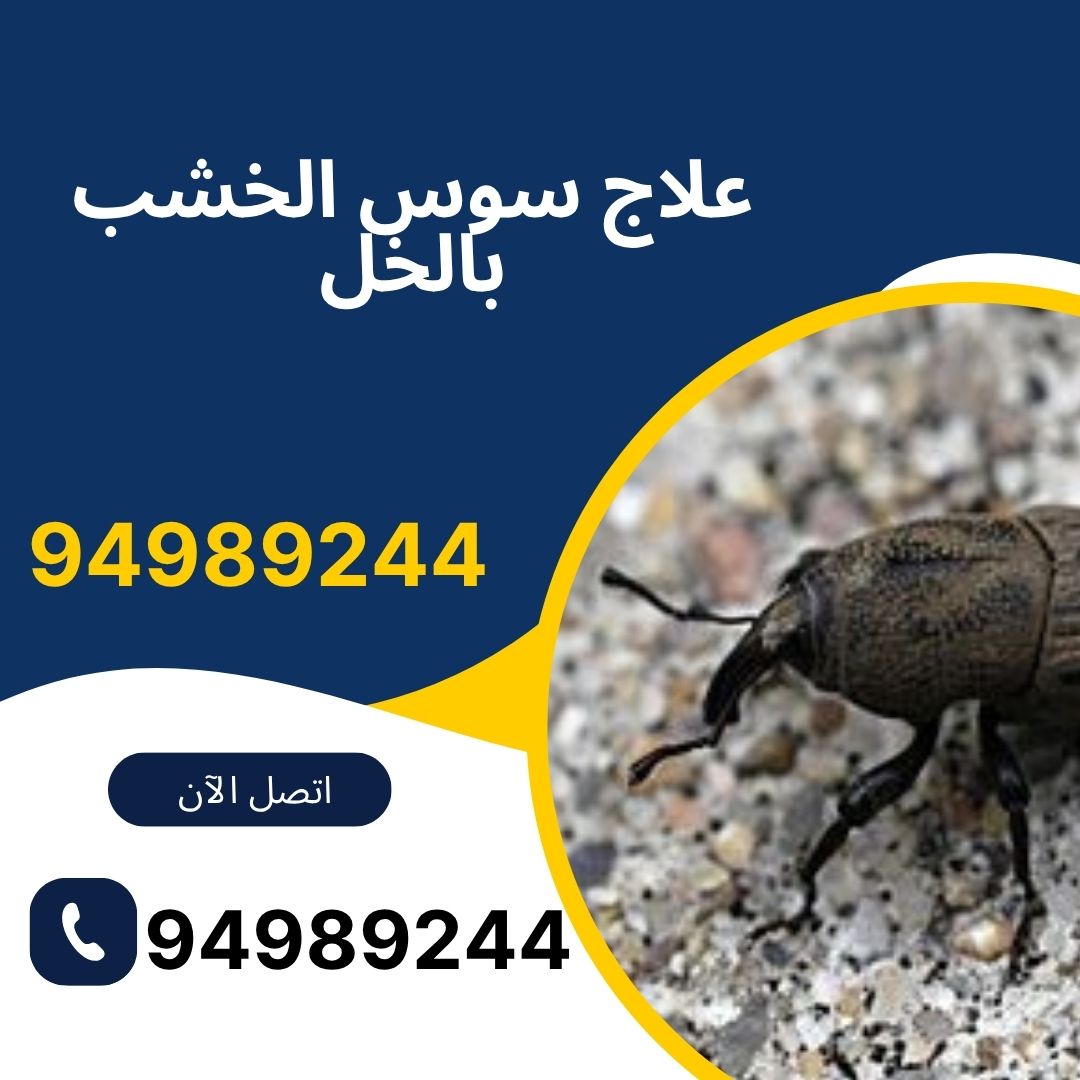 علاج سوس الخشب بالخل