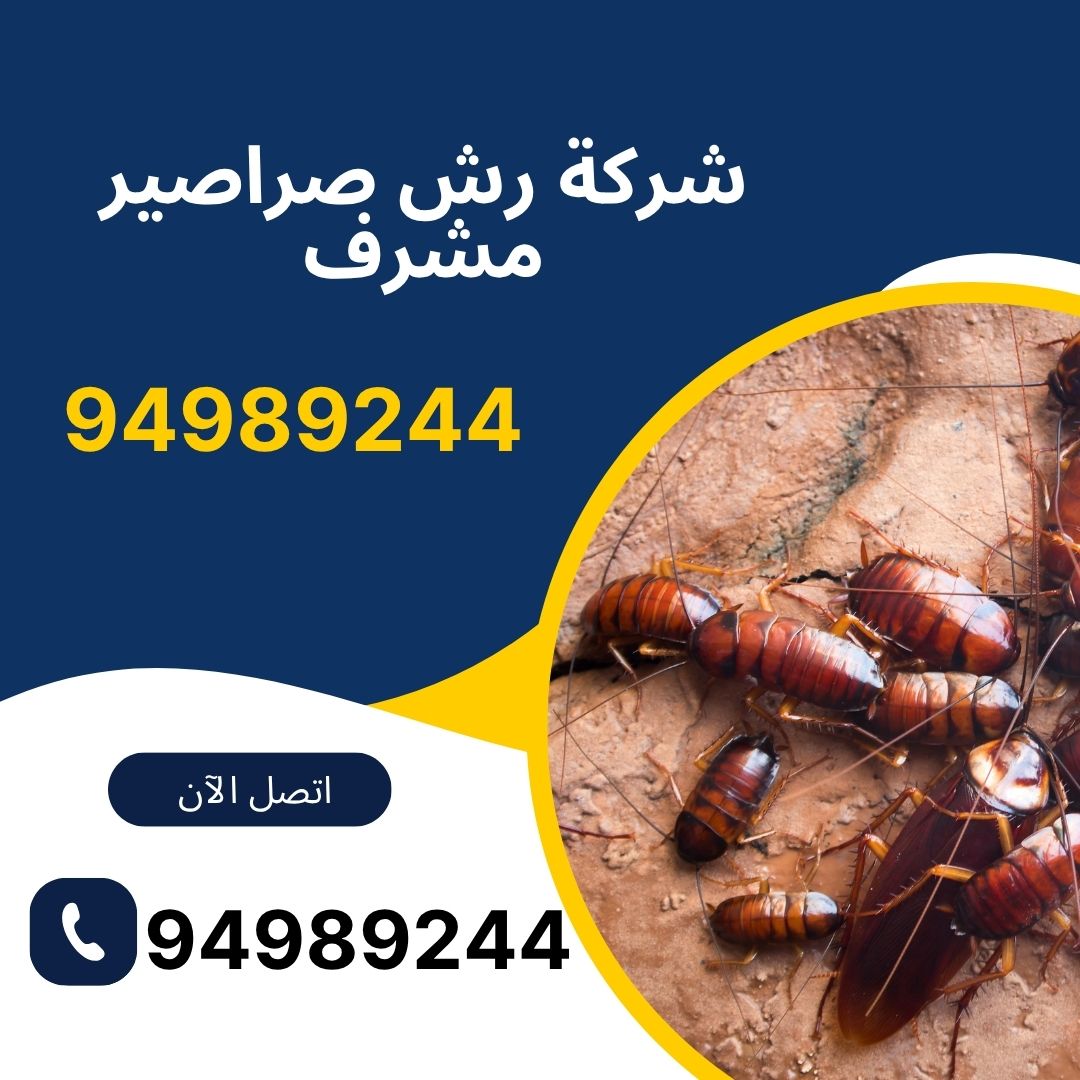 شركة رش صراصير مشرف
