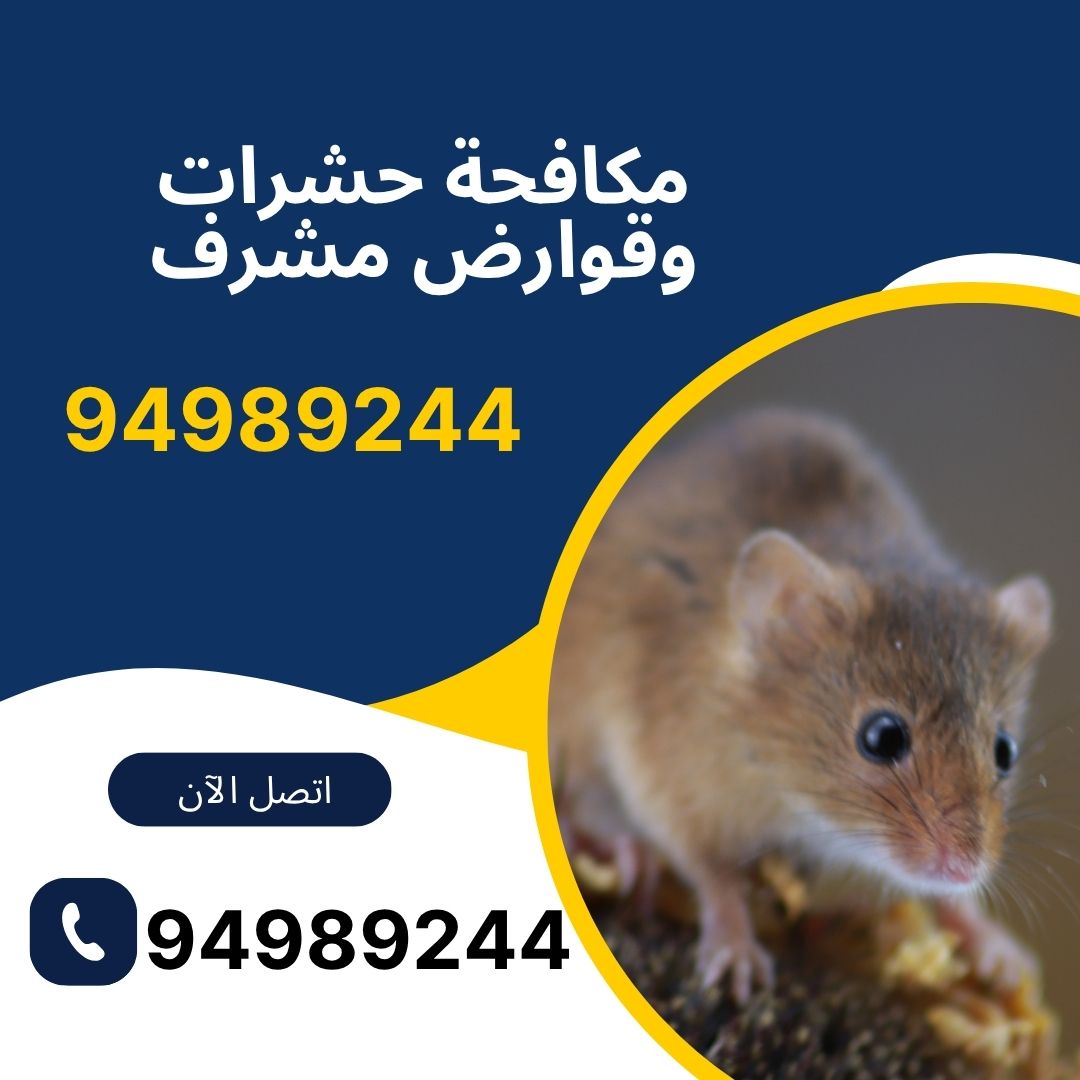 مكافحة حشرات وقوارض مشرف