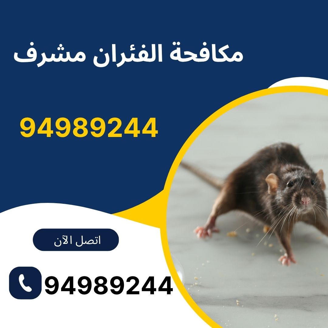 مكافحة الفئران مشرف