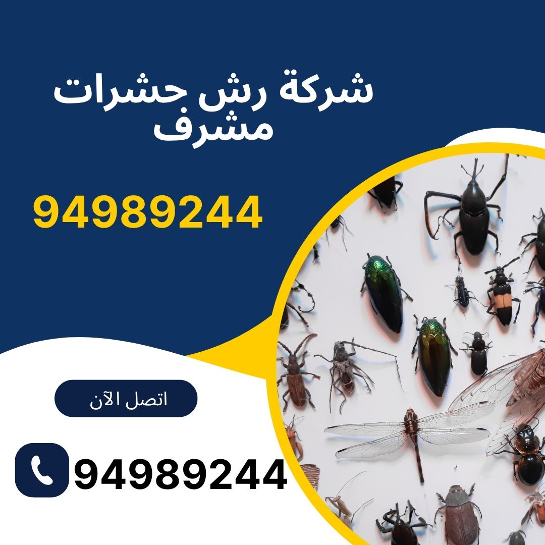 شركة رش حشرات مشرف 
