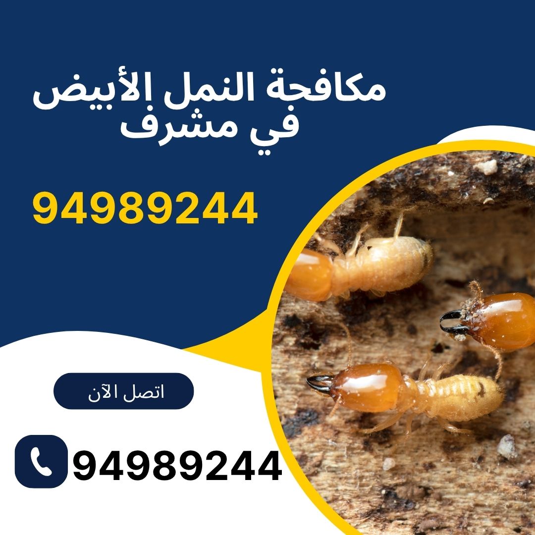مكافحة النمل الأبيض في مشرف
